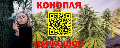индика Коммунар