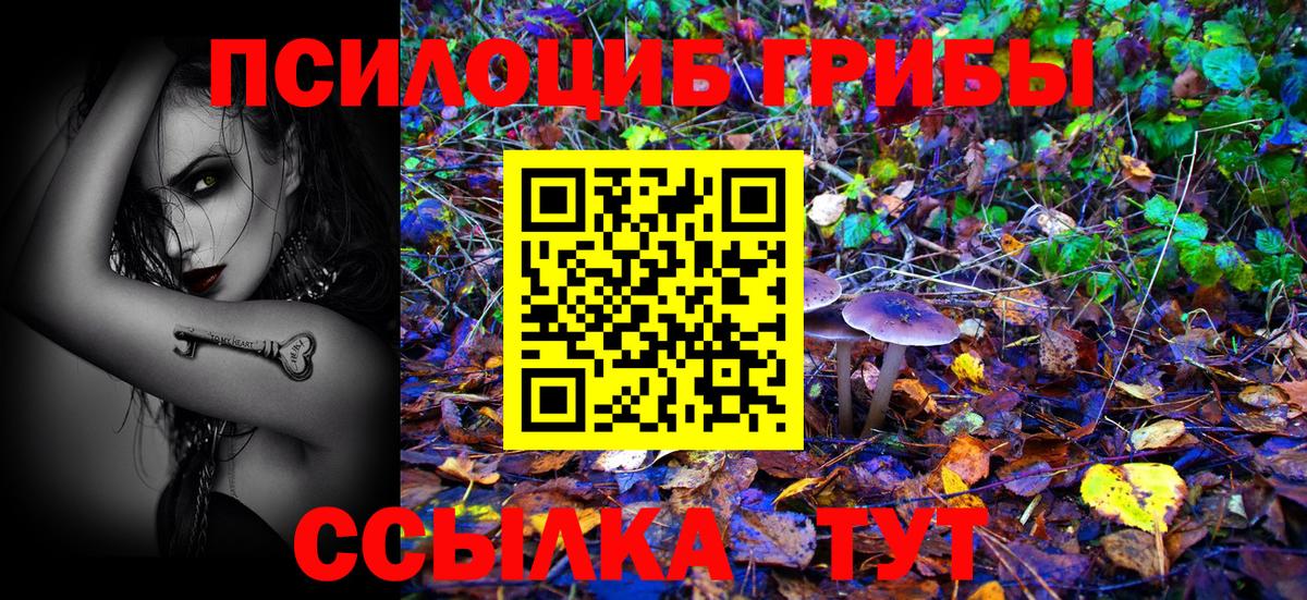 Всеволожск  Псилоцибиновые грибы Magic Shrooms  Вход с VPN 